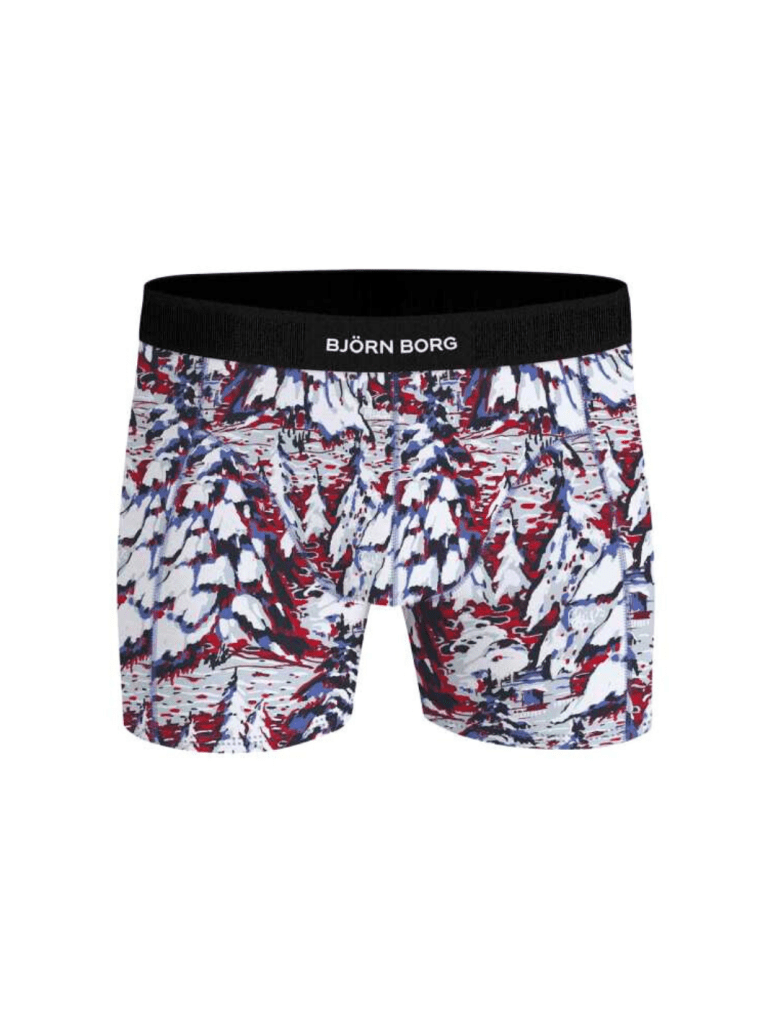 Björn Borg 2 - Pack Boxer Shorts Julegaveæske Blå - Mønster S Björn Borg