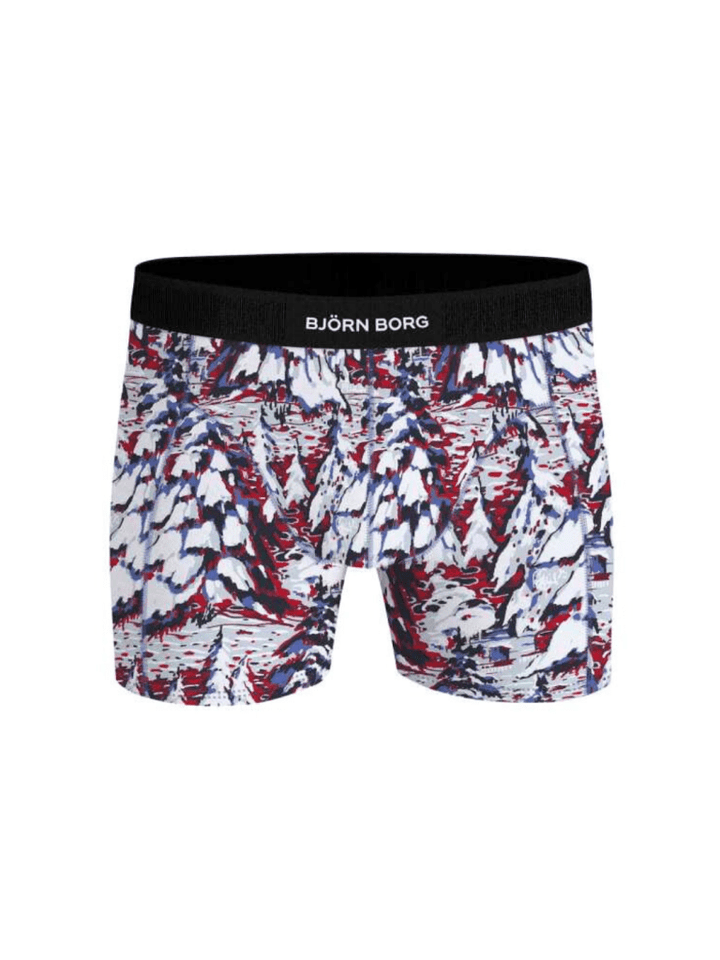 Björn Borg 2 - Pack Boxer Shorts Julegaveæske Blå - Mønster S Björn Borg