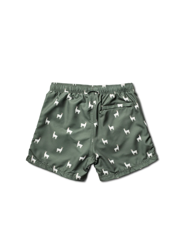 Army Green Panos Emporio Classic Lama badshorts för män