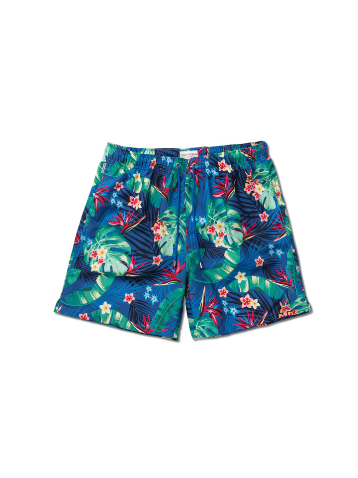 Blåmönstrade Panos Emporio badshorts för män