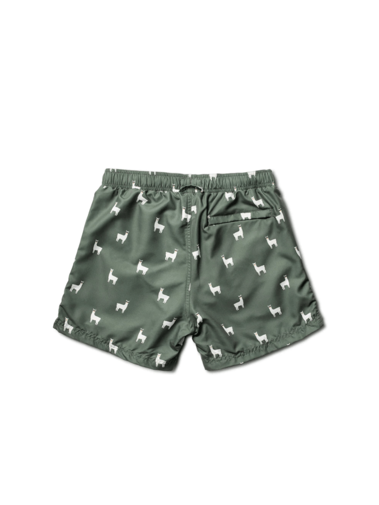 Armygrøn Panos Emporio Classic Lama Herre Badeshorts M Panos Emporio