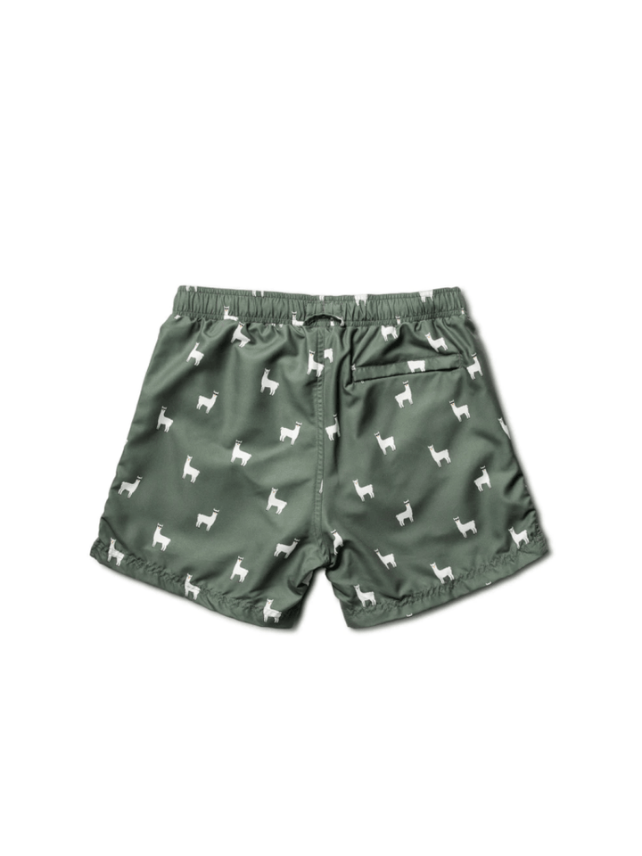 Armygrøn Panos Emporio Classic Lama Herre Badeshorts M Panos Emporio